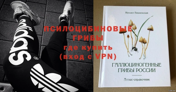 ГАЛЛЮЦИНОГЕННЫЕ ГРИБЫ Богородицк