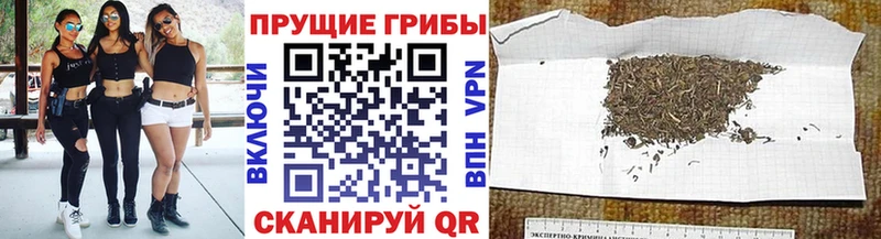 Галлюциногенные грибы мицелий  Дигора 