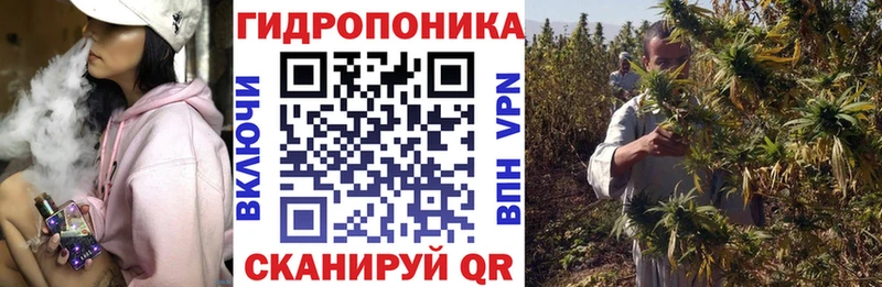мега ТОР  Дигора  Шишки марихуана Amnesia 